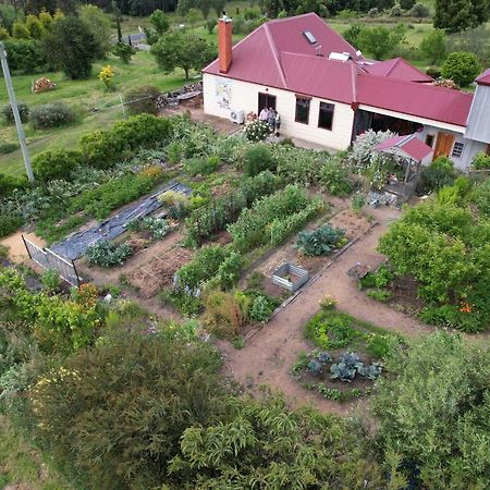 Cherry Top Farmstay - Boutique Eco Village Lilydale Exteriör bild