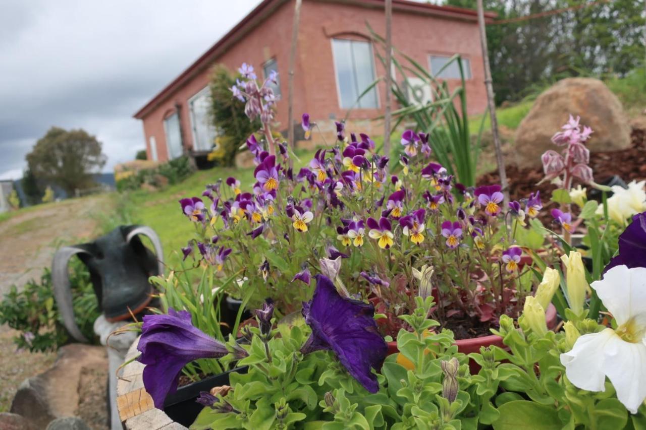 Cherry Top Farmstay - Boutique Eco Village Lilydale Exteriör bild