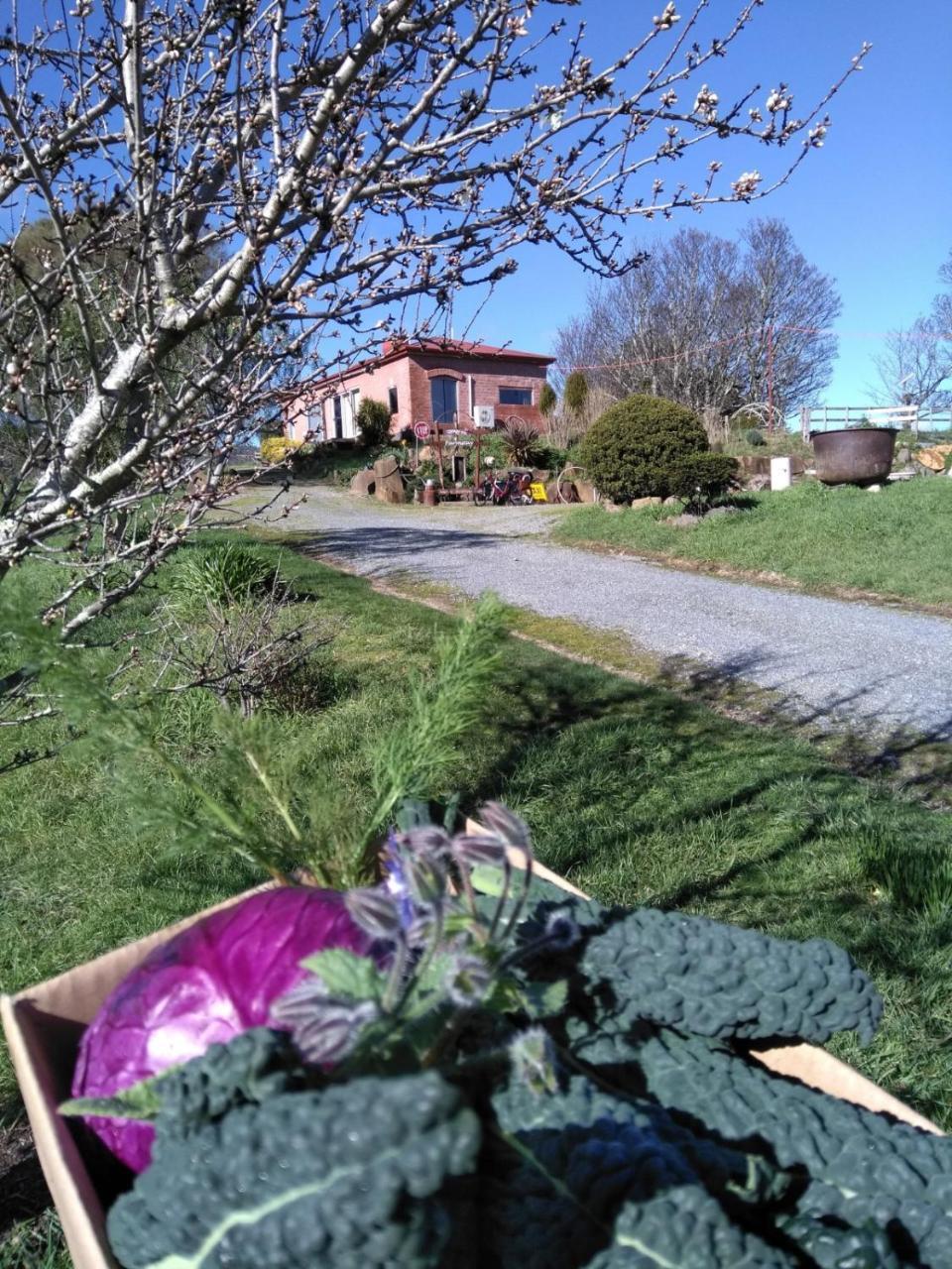 Cherry Top Farmstay - Boutique Eco Village Lilydale Exteriör bild