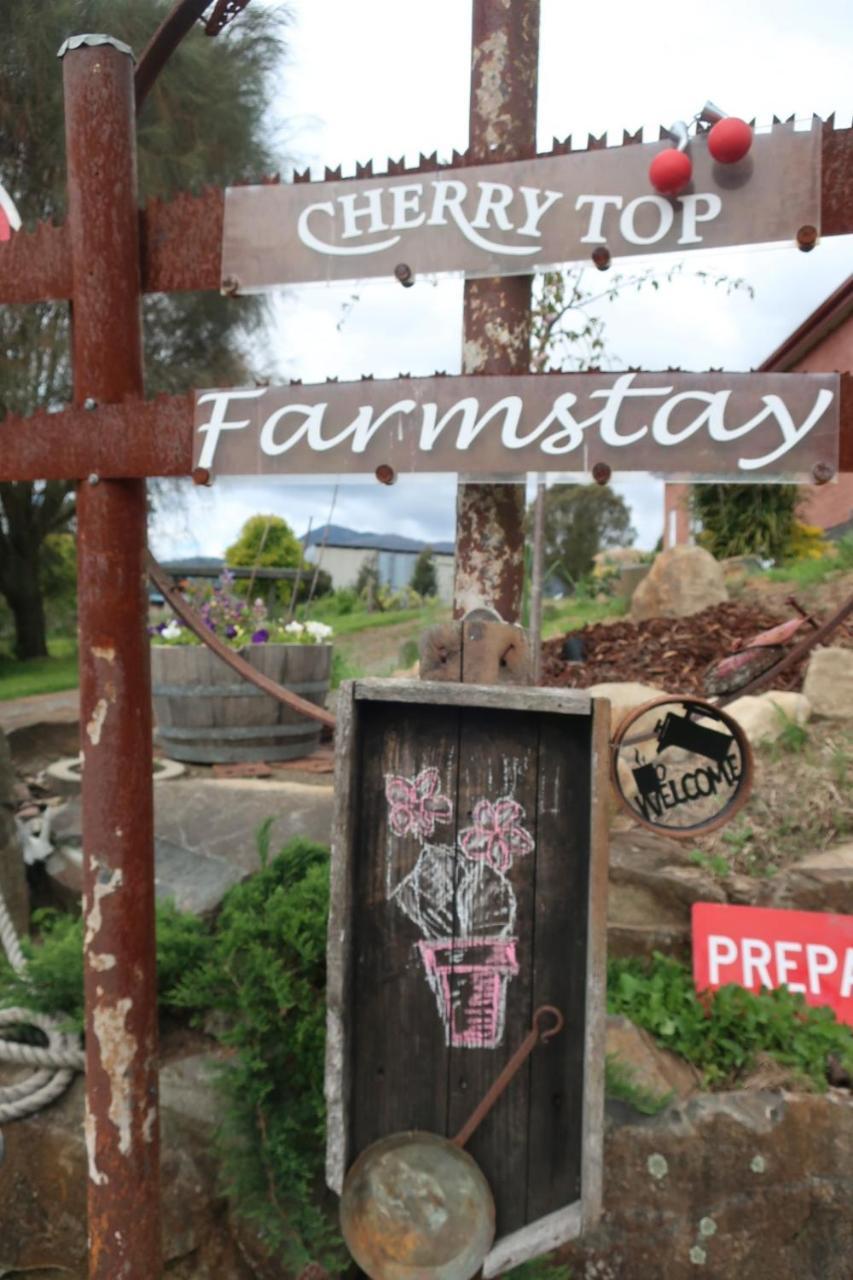 Cherry Top Farmstay - Boutique Eco Village Lilydale Exteriör bild