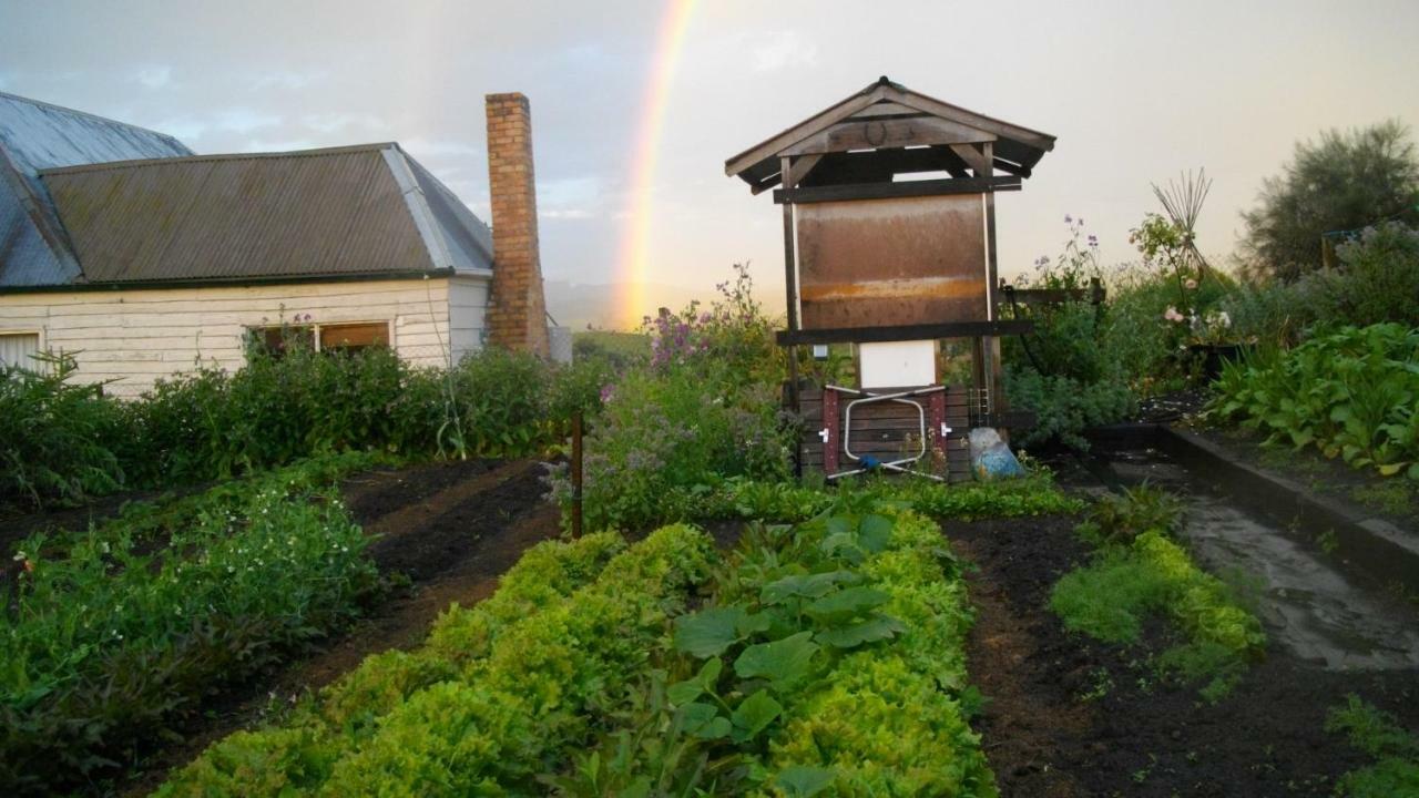 Cherry Top Farmstay - Boutique Eco Village Lilydale Exteriör bild