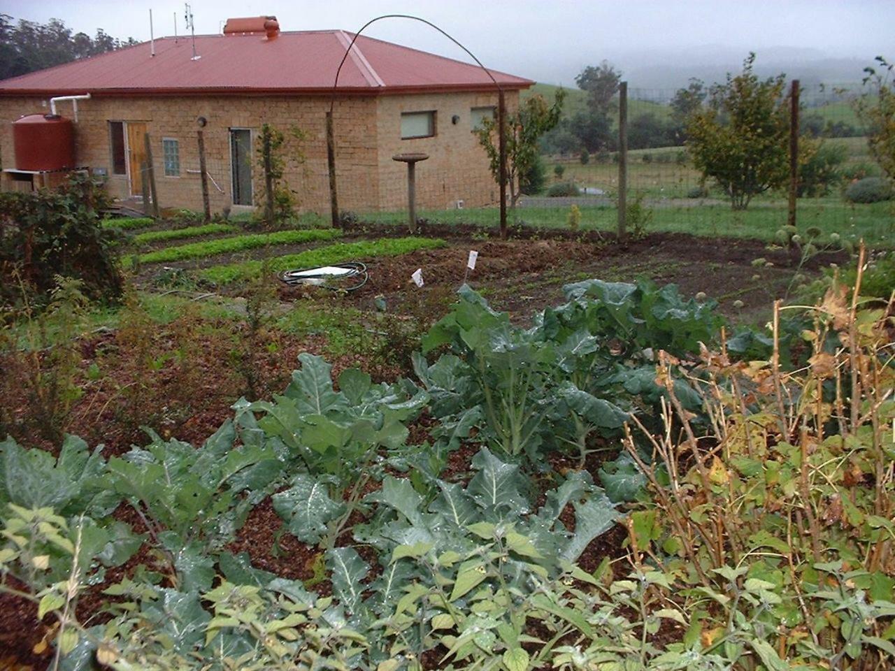 Cherry Top Farmstay - Boutique Eco Village Lilydale Exteriör bild