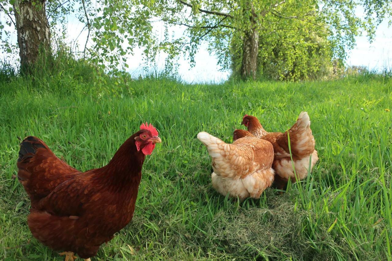 Cherry Top Farmstay - Boutique Eco Village Lilydale Exteriör bild