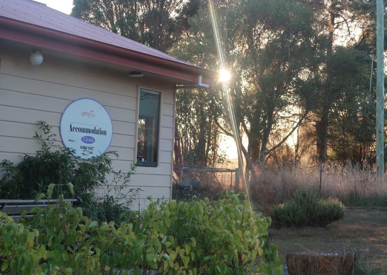 Cherry Top Farmstay - Boutique Eco Village Lilydale Exteriör bild
