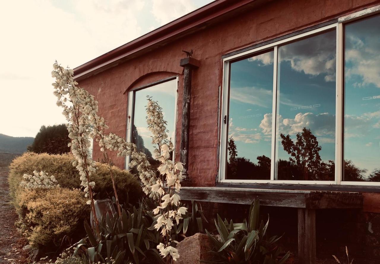 Cherry Top Farmstay - Boutique Eco Village Lilydale Exteriör bild